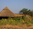 traveling to africa, africa travel, travel to africa, travel africa, reasons to travel to africa