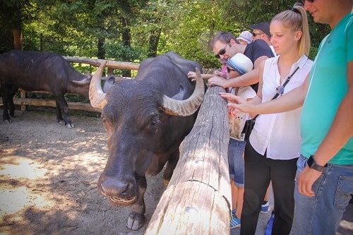 Theme parks Germany, Germany with kids, Germany travel